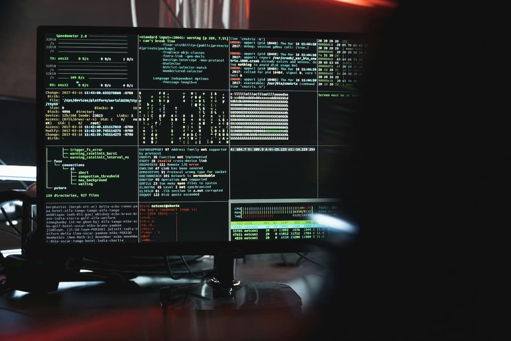 Cyber Security Professional career growth